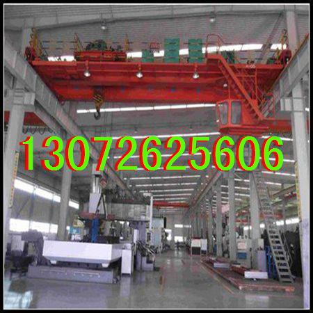 河北廊坊欧式起重机厂家 行车 天吊起重机