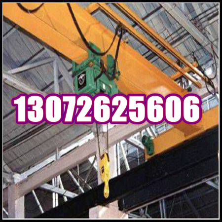 湖南衡阳欧式起重机厂家 零部件运输有防护罩