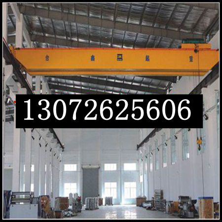 湖南邵阳欧式起重机厂家 零部件运输有防护罩