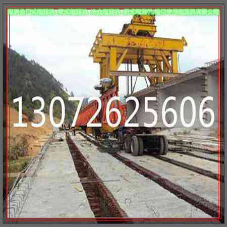 河北沧州架桥机厂家排除故障纽科伦